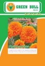 紾ѹͧѴ͡١ پҹྪ  紾ѹͧжҧ١ پҹͧ Marigold Seeds F1 PhuPhanPhet  PhuPhanThong GreenBull Brand