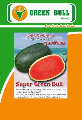 hạt giống dưa hấu "Super Green Bull" 紾ѹᵧ "ػչ"
