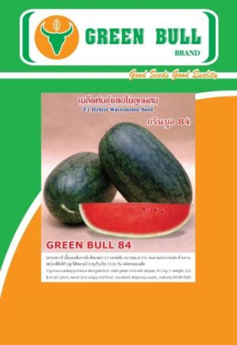 hạt giống dưa hấu "Green Bull 84" 紾ѹᵧ "չ 84" 